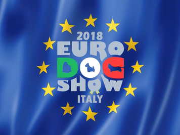 Preparatevi per il 2018