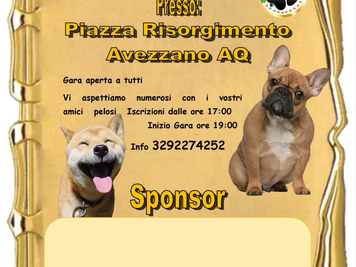 Eventi in programma per l'estate