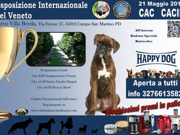 Internazionale di Padova