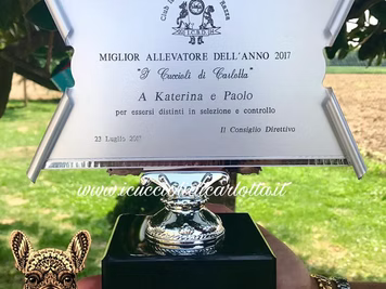 Premio Allevatore 2017