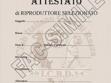 Nuovo Modello B