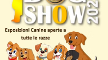 Eventi di Classe