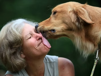 IL CANE VI LECCA SPESSO? OTTIMO!!