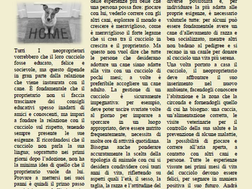 L'Editoriale di ICBD