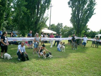 Evento concluso a Bastia Veneto