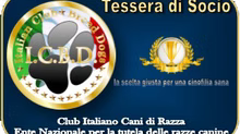Tesseramento anno 2022 aperto