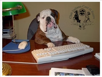 Ho un cane... e adesso?