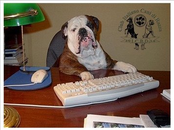 Ho un cane... e adesso?
