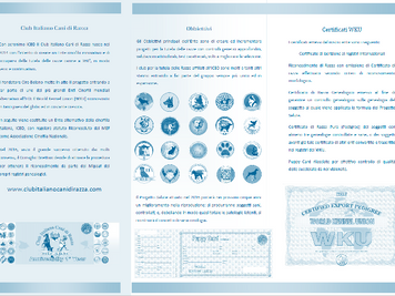 Brochure del Club 2016
