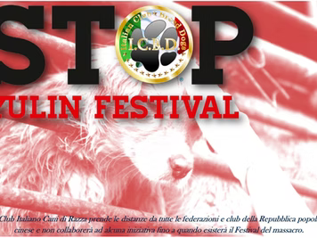 Stop al Festival di Yulin