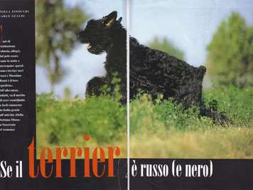 Esperto Giudice Massimo Bruni