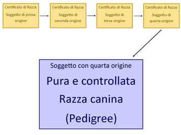 ICBD si rinnova e svela i suoi progetti...