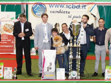 Internazionale di Cassino....