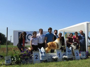 Expo di Alessandria Maggio 2016