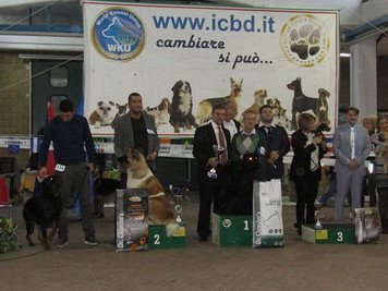 Internazionale di Moncalieri TO 2016