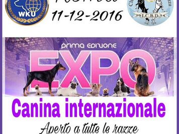 Evento Internazionale di Roma