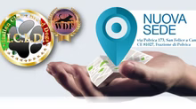 Nuovo Indirizzo Sede Nazionale ICBD