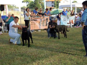 Latina risponde colpo su colpo