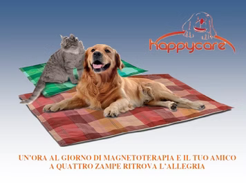Grande Novità per i nostri amici...