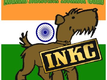 il presidente in India