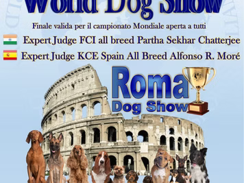 Grande News  Expo Mondiale a Roma...