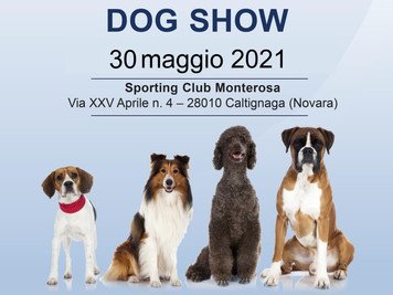SI RIPARTE FINALMENTE