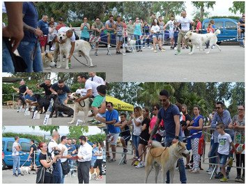 Ritorno in Puglia grande successo