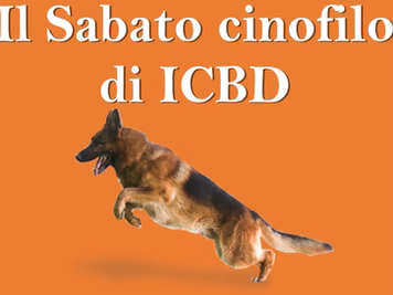 Il Sabato Cinofilo