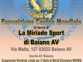 Mondiale World Cup 2018