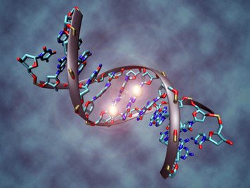 DIAGNOSI MALATTIE GENETICHE